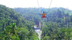 Bali Swing Bongkasa Pertiwi 2 download 55