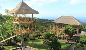 Rumah Pohon Batu Dawa Karangasem 1 download 52